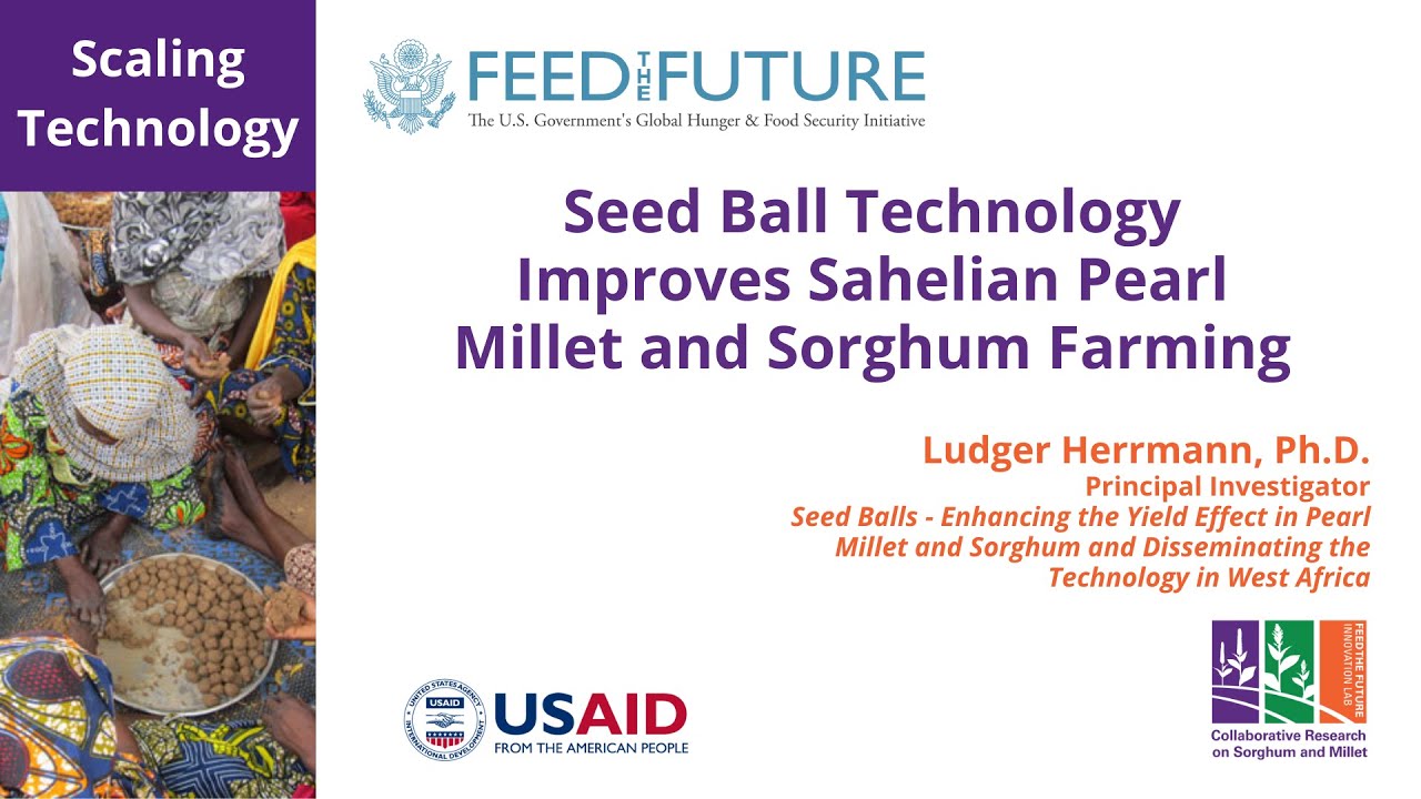 Seed Ball Technology Improves Sahelian Pearl Millet and Farming